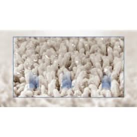 Adams Plus Flea & Tick Carpet Spray, For Indoor Use 16 Ounces