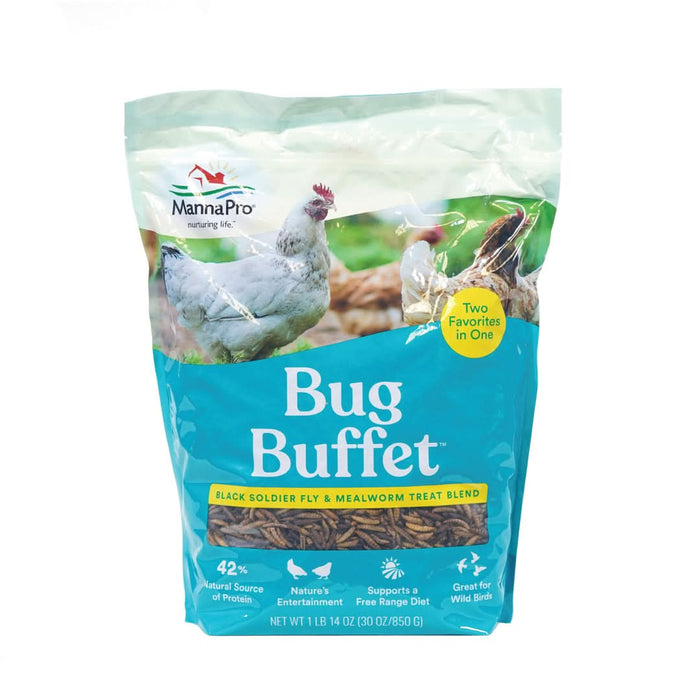 Manna Pro Products Bug Buffet Poultry Treat 30oz