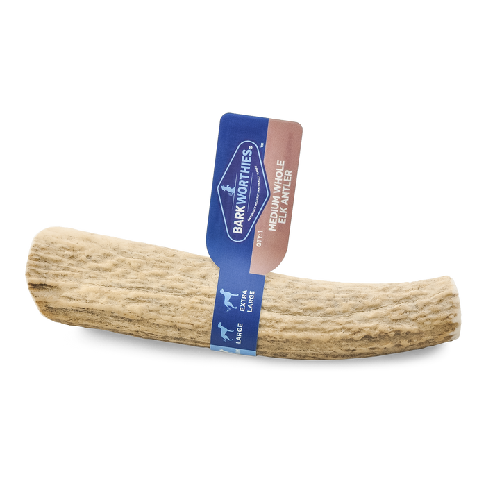 Barkworthies Whole Elk Antler Dog Treat MD - Image 2