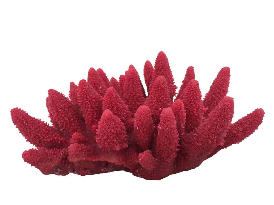 Weco Products South Pacific Coral Acorapora Humilis Ornament Rose MD