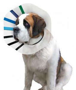 KONG E-Collar Clear/Blue/Black King - Image 2