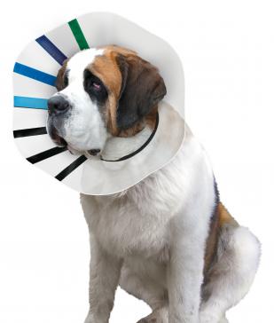 KONG E-Collar Clear/Blue/Black King - Image 2
