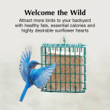 C&S Sunflower Delight No Melt Suet Dough for wild birds, 12/pack 11.75 Ounces