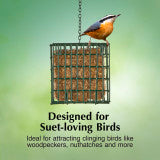 C&S EZ Fill Suet Basket, Holds One Suet Cake, 8 Ounces (Pack of 8)