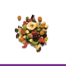 ZuPreem Pure Fun Bird Food Parrots & Conures 2 lb