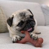 Nylabone Strong Chew Wishbone Dog Chew Toy Made with Real Bacon Small (1 Count)