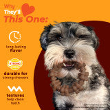 Nylabone Strong Chew Textured Ring Dog Chew Toy Made with Real Beef & Chicken Small (1 Count)