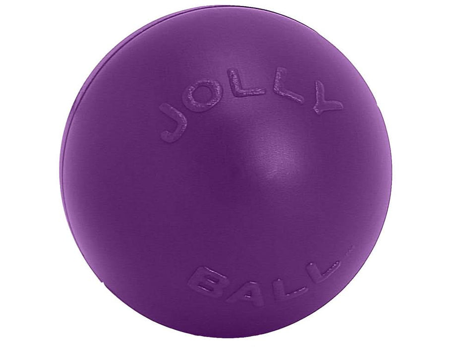 Jolly Pet Push-n-Play Plastic Dog Toy Purple LG 10in