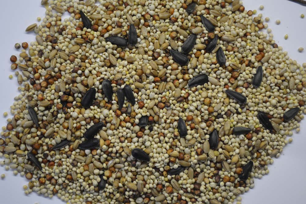 Volkman Seed Company Phoenix Wildbird Mixed Seed Food 20 lb