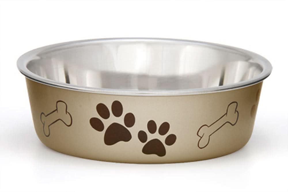 Loving Pets Metallic Dog Bowl Champagne MD