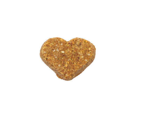 Darford Grain Free Dog Biscuits Turkey Recipe Mini 12 oz
