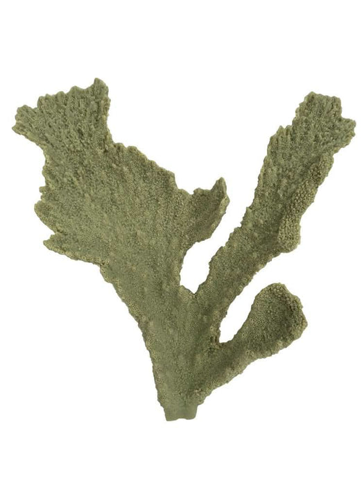 Weco Products South Pacific Coral Elkhorn Ornament Grey SM