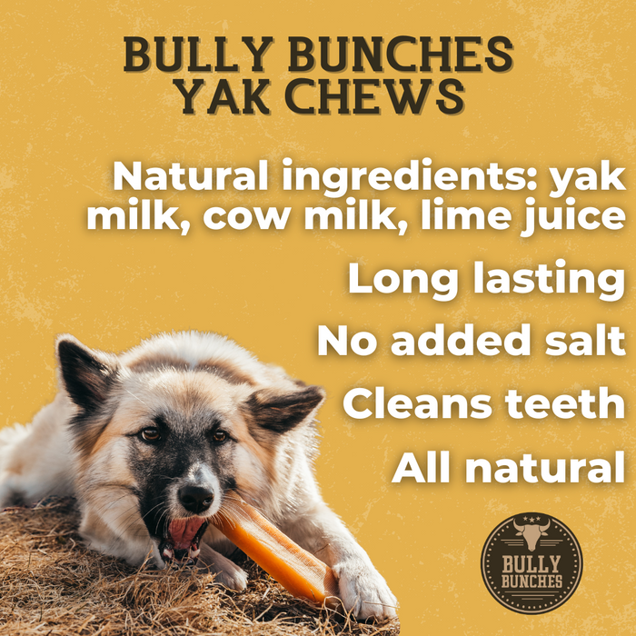 Bully Bunches Himalayan Yak Chew (LARGE)