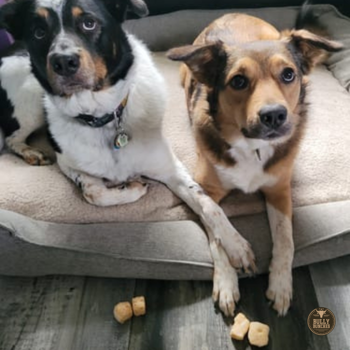 Bully Bunches Himalayan Yak Puffs