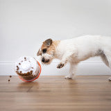 Nylabone Boop N Bobble Puzzle Treat Toy (1 Count)