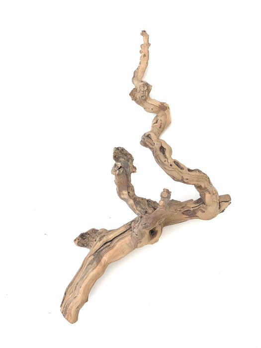 Sublime Vines Sandblasted Grapevine Decor LG