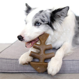 Benebone 2-Pack Fishbone & Wishbone Dog Chew Toy Bacon MD|20 PK