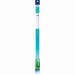 Aqueon T8 Fluorescent Lamp Replacements Daylight 18 Inches - Image 2