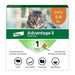 Elanco Advantage II Topical Flea Treatment & Prevention for Cats 1-Month Supply SM Cats (5-9 lbs) - Image 2