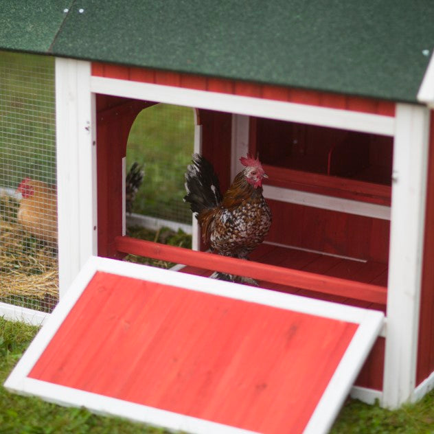 Prevue Pet Products Chicken Breeding Coop Red Barn