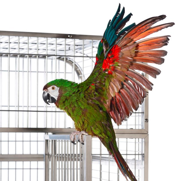 Prevue Pet Products Imperial Extra Large Stainless Bird Cage