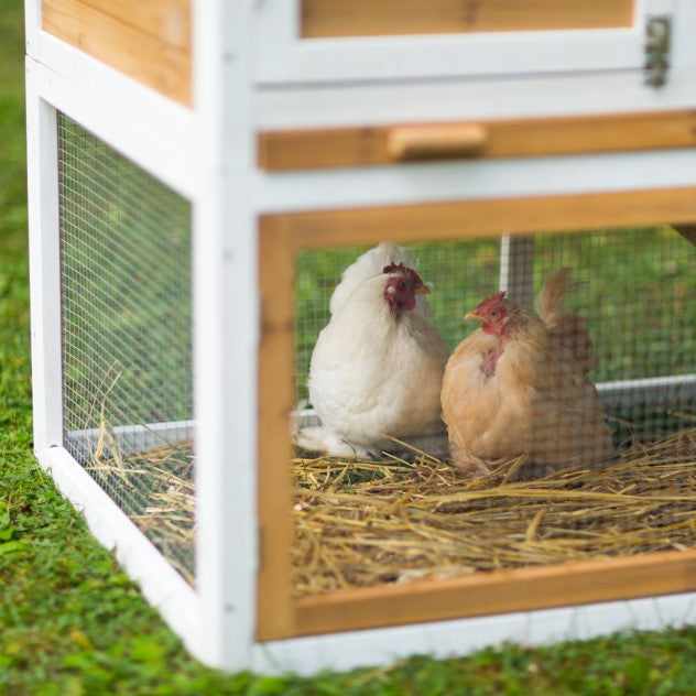 Prevue Pet Products Chicken Coop with Herb Planter