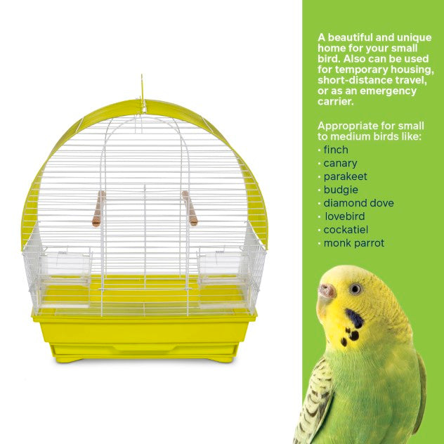 Prevue Pet Products Soho Dometop Roof Cockatiel Cage, Chartreuse & White