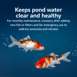 Aqueon Pure Pond Bomb 1-pack