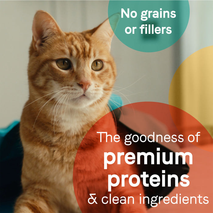 CANIDAE PURE Goodness Canned Cat Food Tuna, Chicken & Whitefish in Broth 2.46oz| 24 Pk