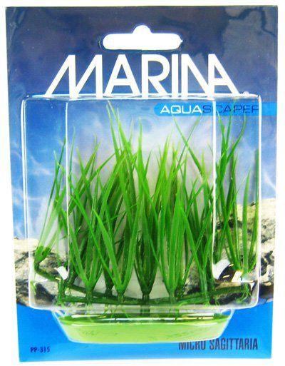 Marina Foreground Micro Sagittaria Aquarium Plant - AnimalWiz.com