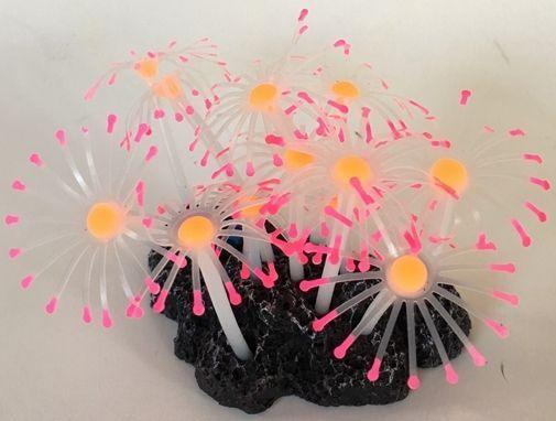 Aquatic Creations Aquarium Decor Star Polyps Pink & Orange - AnimalWiz.com