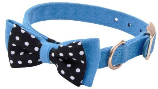 Coastal Pet Accent Microfiber Dog Collar Boho Blue with Polka Dot Bow 5/8" Wide - AnimalWiz.com