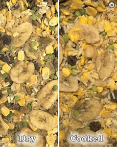 A&E Cage Company Crazy for Corn Tropical Rice Pudding 1lb - 644472016178