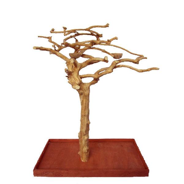 A&E Cage Company Large Java Wood Tree. 48"x32"x66" TRUNK, CROWN, BASE and 2 BOWLS - 644472006094