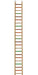 A&E Cage Company Wooden Hanging Ladder 49.25" x 5.25" x 0.75" (0.5" Diameter Ladder Rungs) - 644472011715