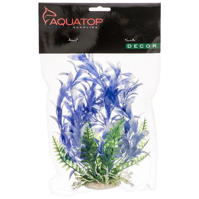 Aquatop Bacopa Aquarium Plant - Blue & White - 819603014488