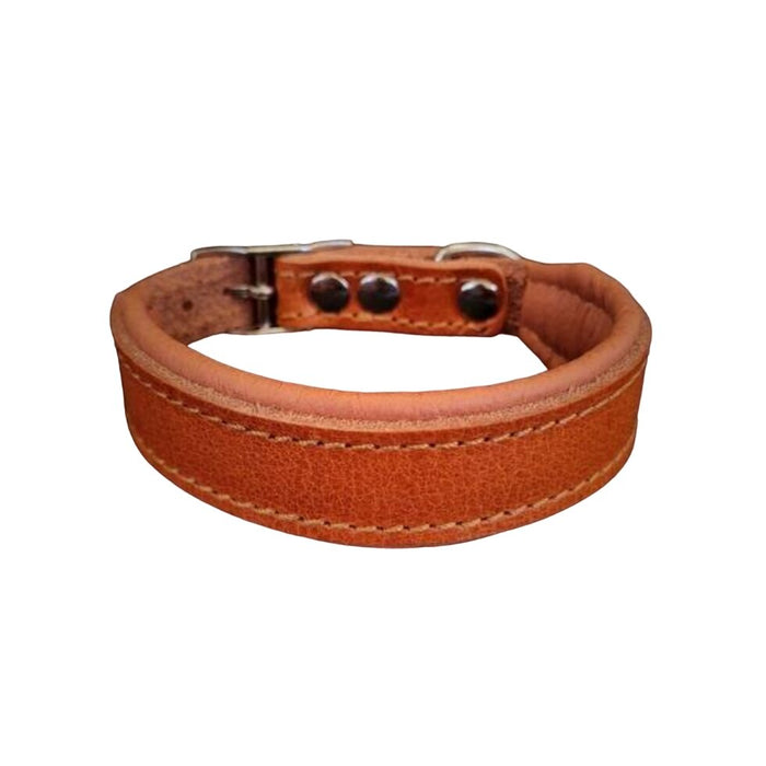 Bestia Clean Puppy Collar for Puppies - 5060693301049