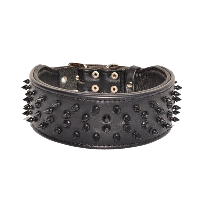 Bestia The Crown black collar for Dogs - 5060693308062