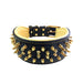Bestia The Crown Collar for Dogs - 5060693308079