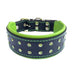 Bestia The ''Diamond'' Collar for Dogs - 5060693308574
