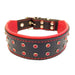 Bestia The ''Diamond'' Collar for Dogs - 5060693308444