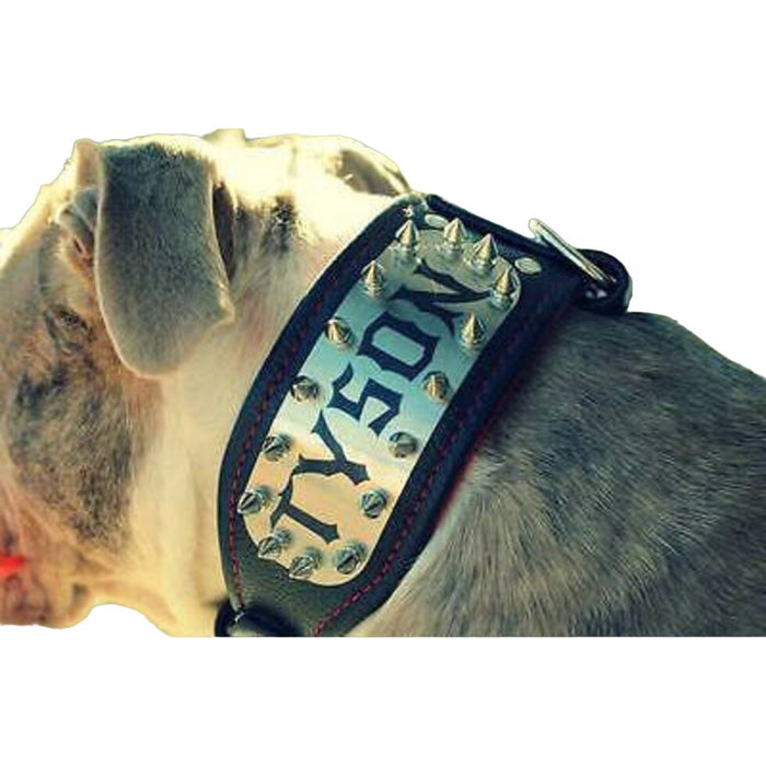 Bestia The "Kennel" collar personalized for Dogs - 5060693307461
