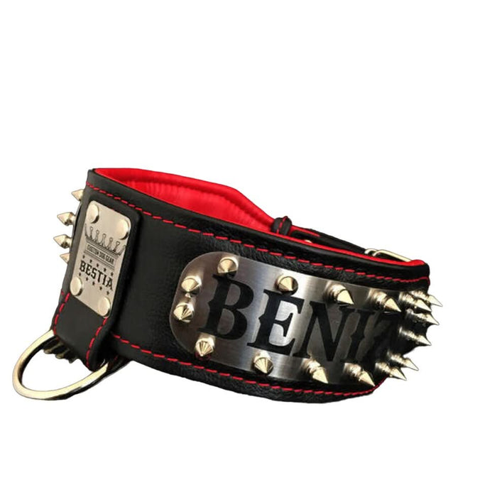 bestia custom dog gear The Kennel collar- personalized! Size XL - fitting a neck of 22.6 - 25.6 inch (57.5