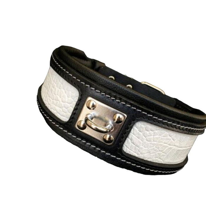 Bestia The Reptile Collar for Dogs - 5060693302091