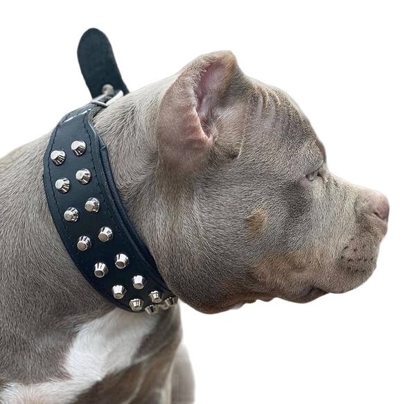 Bestia The "Rocky" Collar for Dogs - 5060693301476