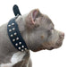Bestia The "Rocky" Collar for Dogs - 5060693301384