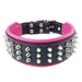 Bestia The Silver Giant Collar for Dogs - 5060693303364
