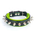 Bestia The "Spiky Collar" for Puppies - 5060693301995