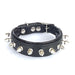 Bestia The "Spiky Collar" for Puppies - 5060693301940