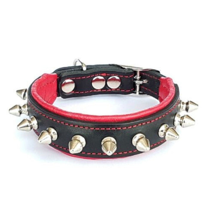 Bestia The "Spiky Collar" for Puppies - 5060693301971